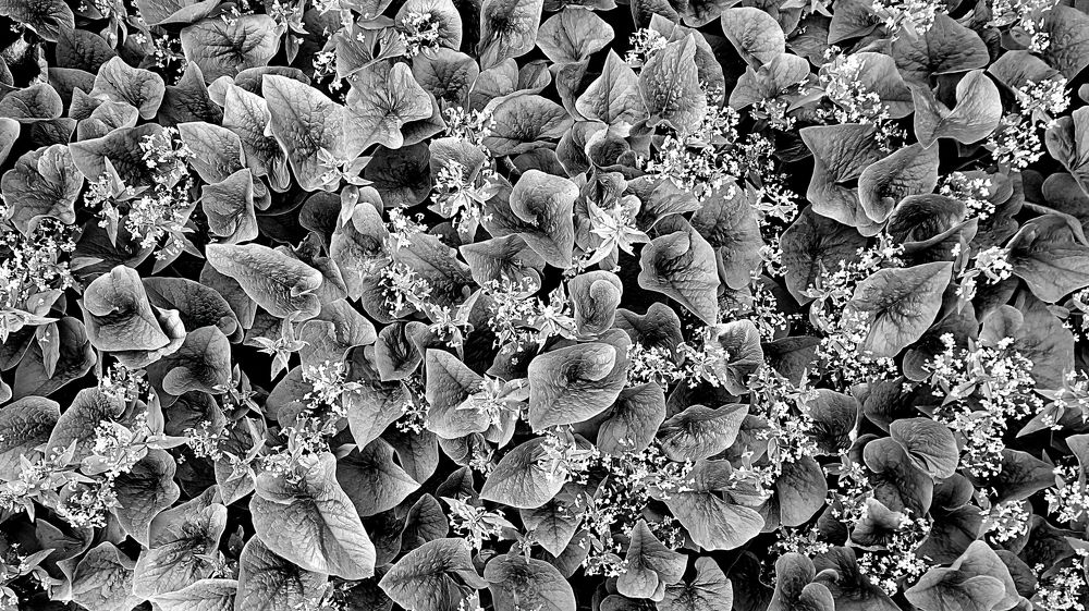 Контрасный ковер