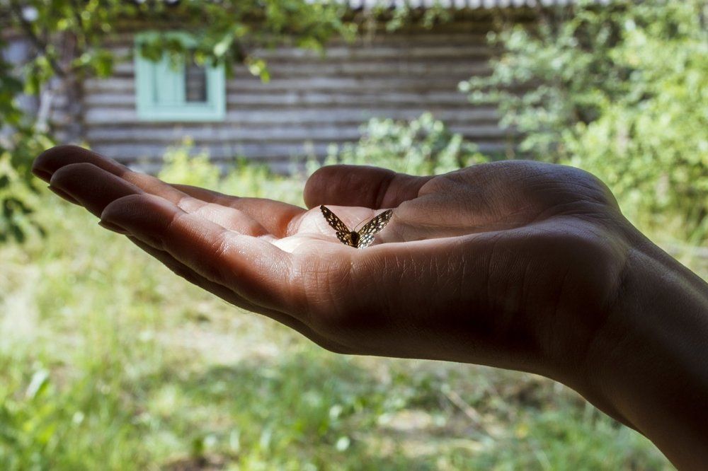 Все в твоих руках