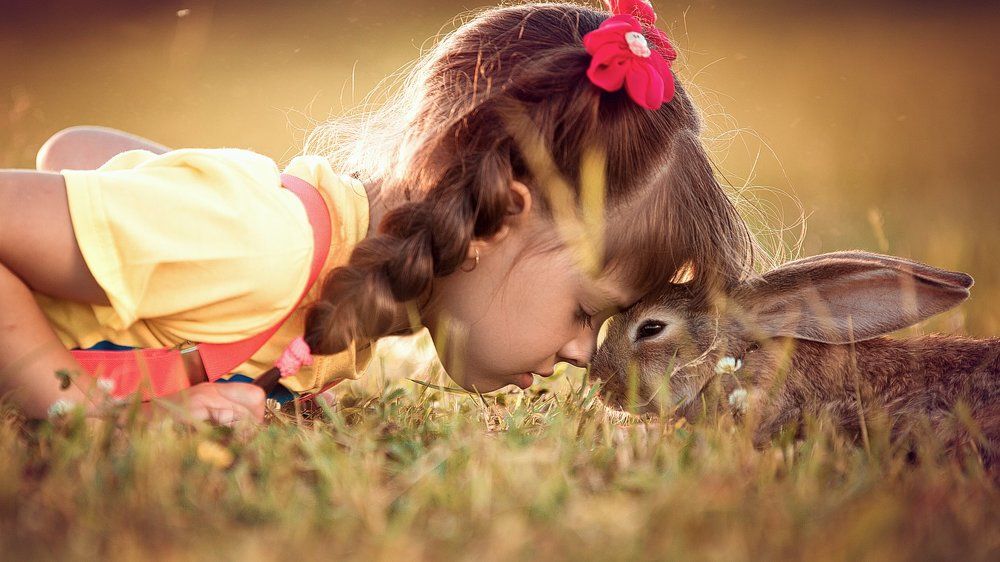 Мы с тобой одной крови