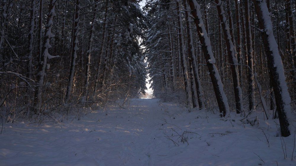 зимняя пора