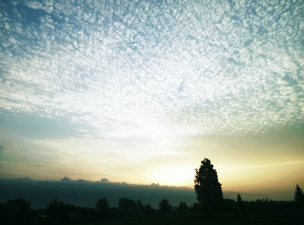 Photo #1528848