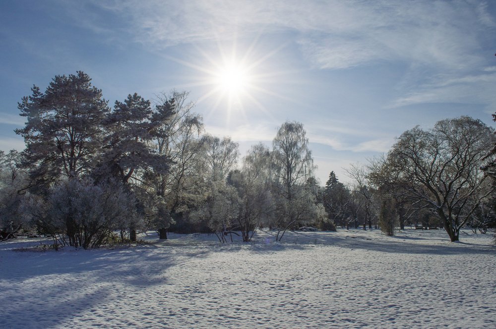 А это - ноябрь.