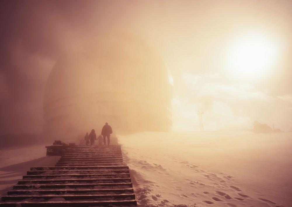 Photograph by Arctic Fox