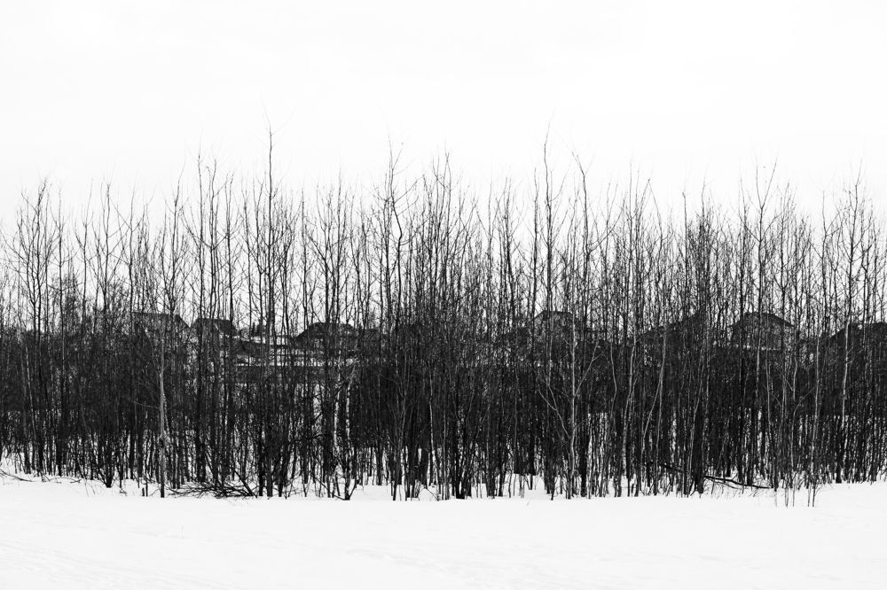 На краю деревни