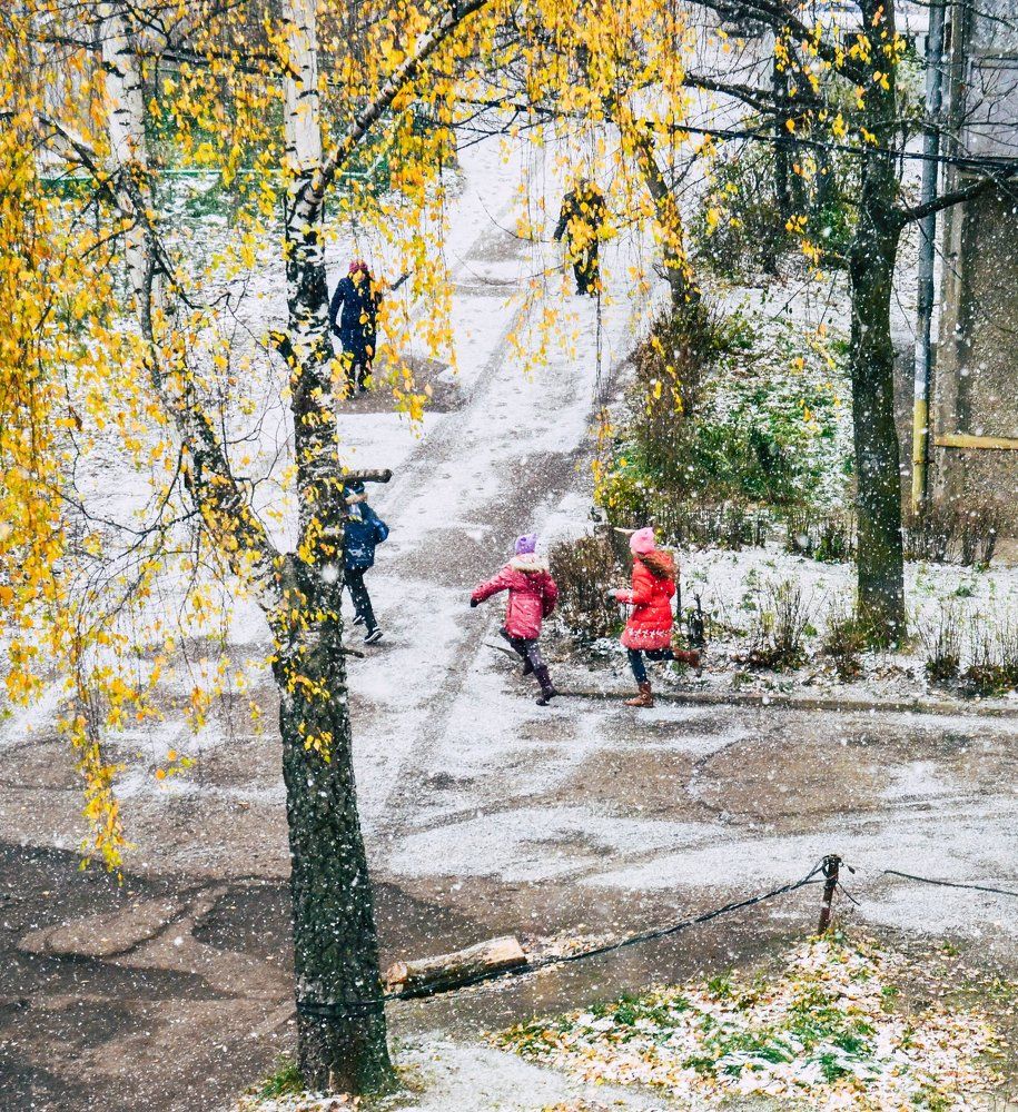 Первый снег