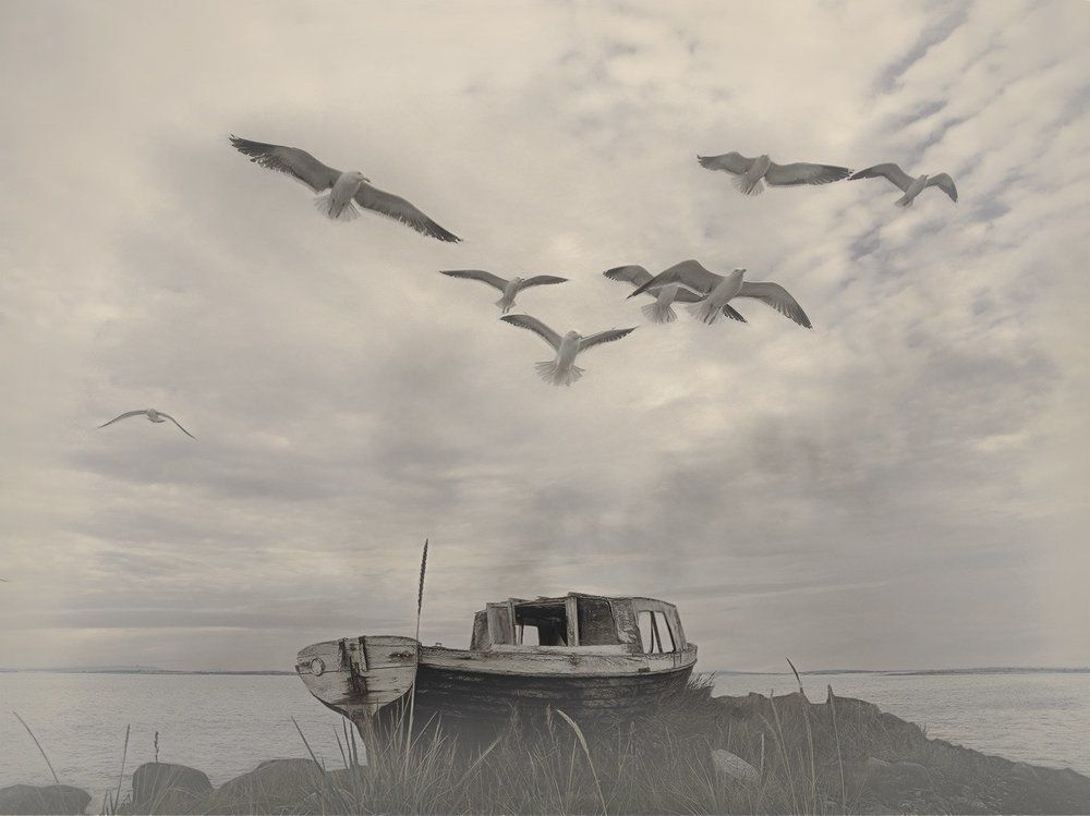 Ты не вейся...