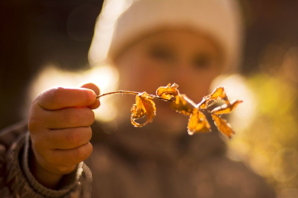 Photograph by Анастасия Омелько