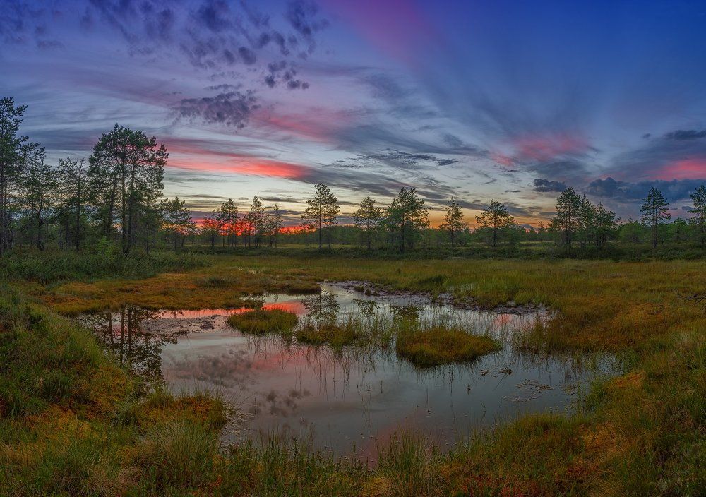 Закат на болоте