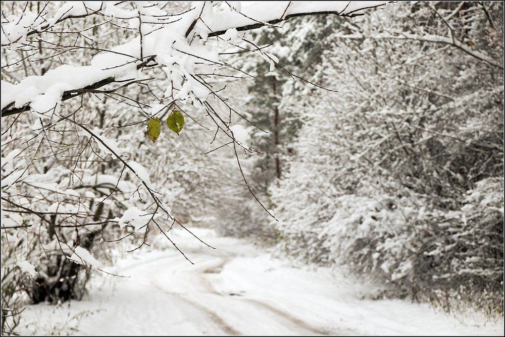 Двое не в теме