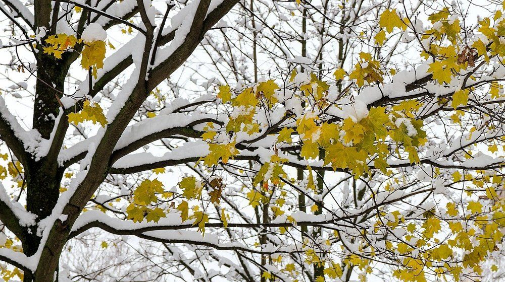 Что-то пошло не так