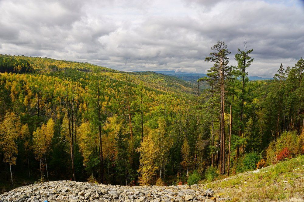 осенние краски природы