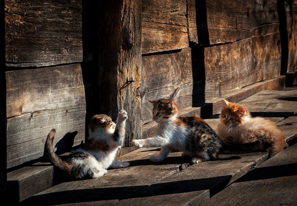 Photograph by Юрий Юрьев