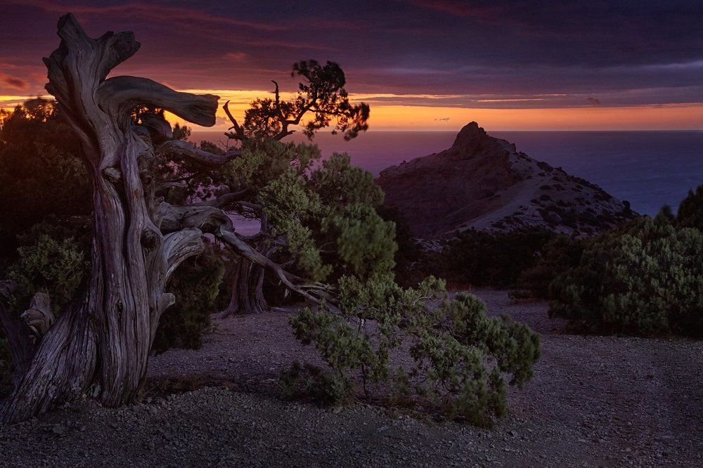 Тревожное утро