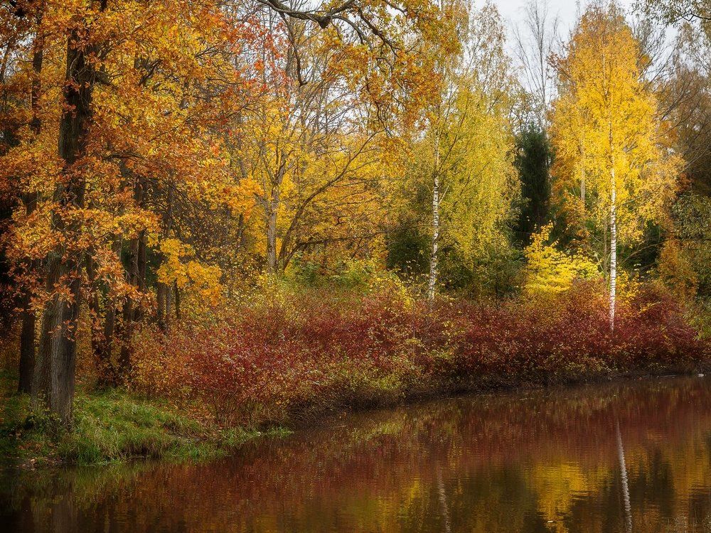 Краски осени...