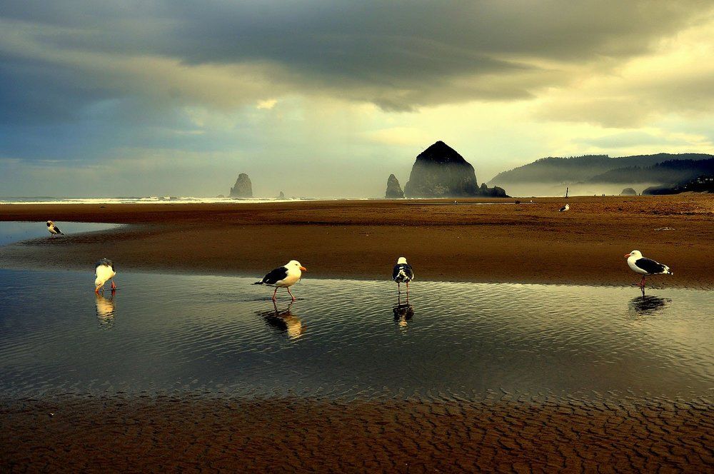"Невыносимая легкость бытия..."