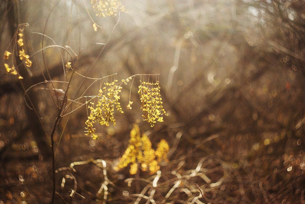 Photograph by Игорь