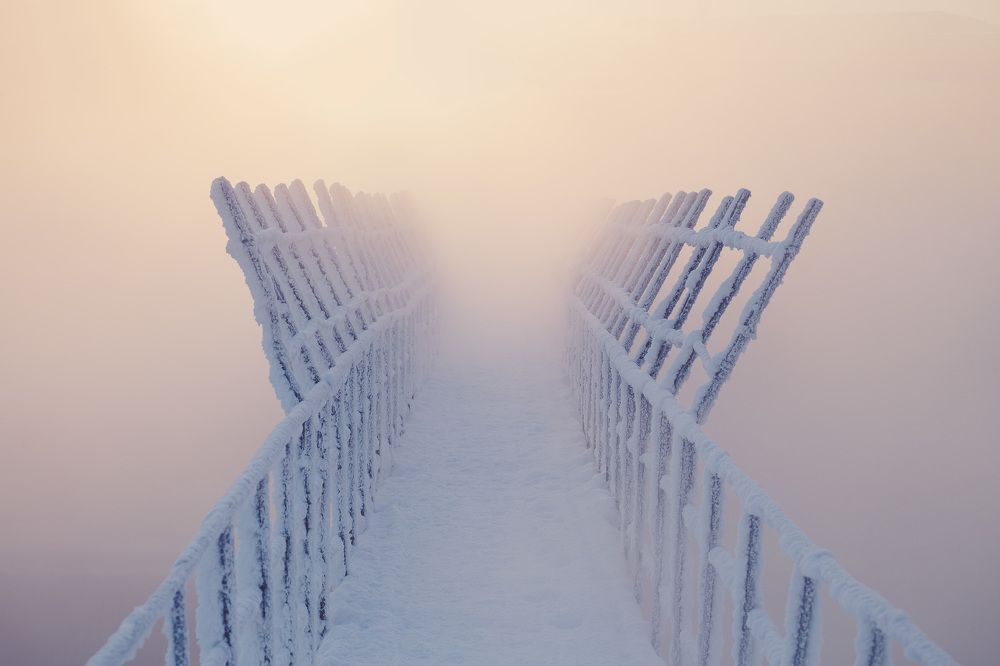 Дорога в никуда