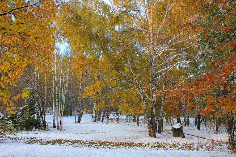 Осенний треугольник.