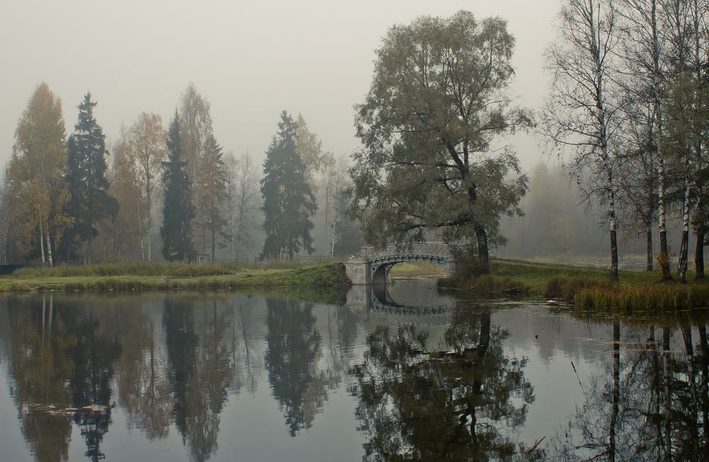 Осеннее утро...