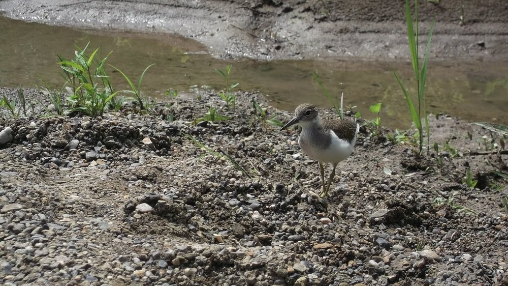 Photograph by Михаил Лавренков