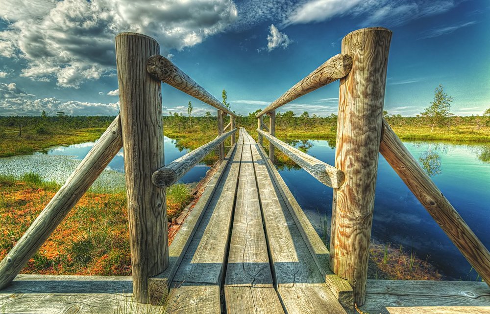 Перспектива