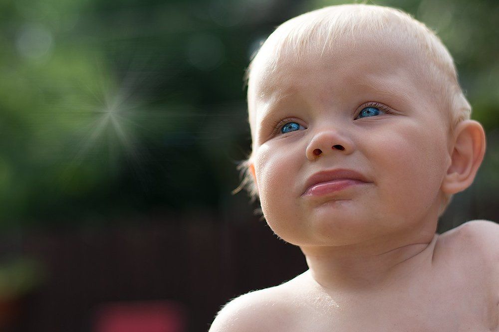 Новая жизнь