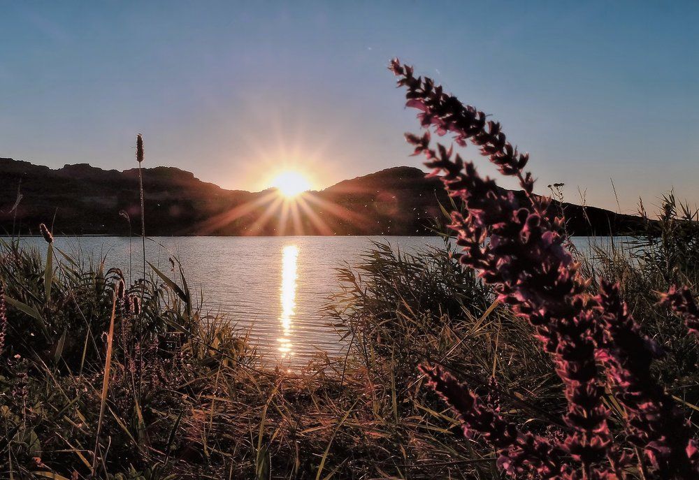 Загадки Каменных Могил