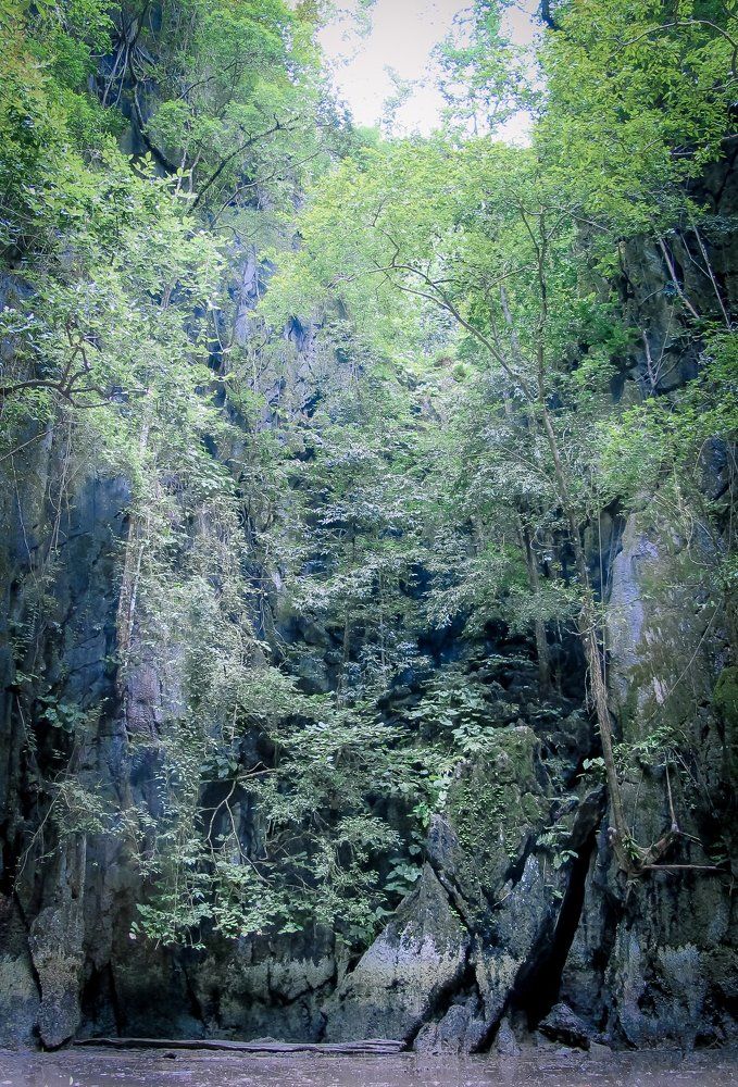 Photograph by Константин Урюпин