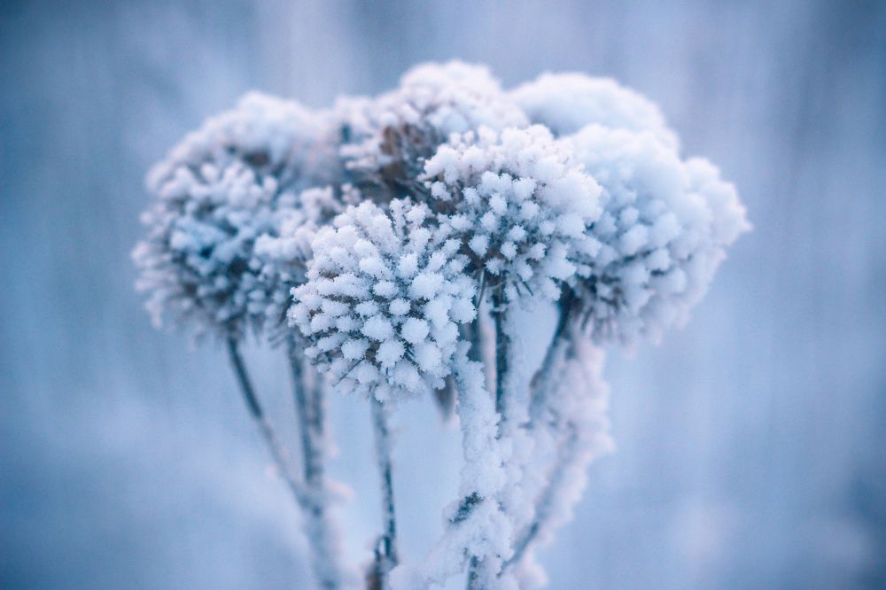 фейерверк -30