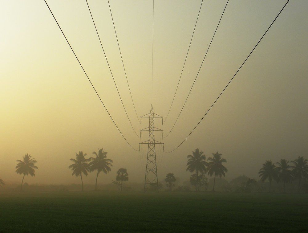 Science for sustainability