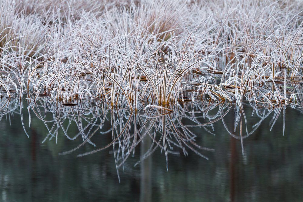 Photograph by Eriks Zilbalodis