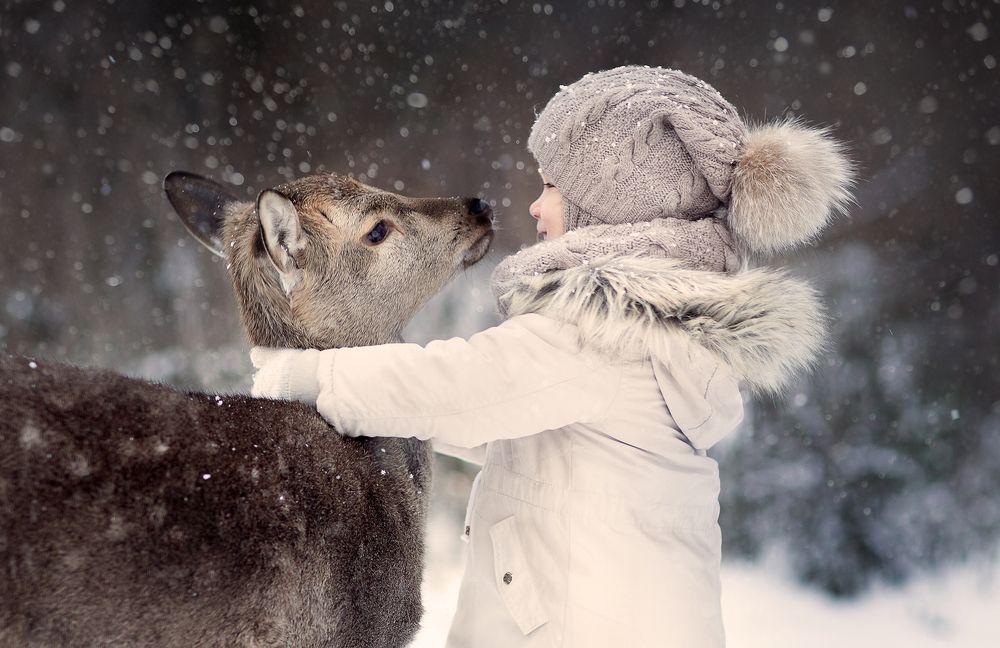 Привет, маленький друг!