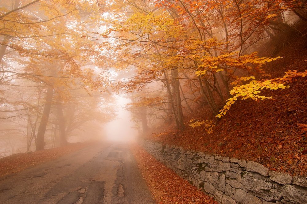 Дорога на Ай Петри