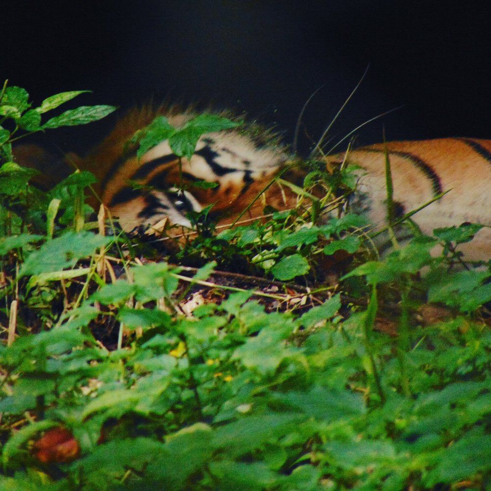 Photograph by priya thakur