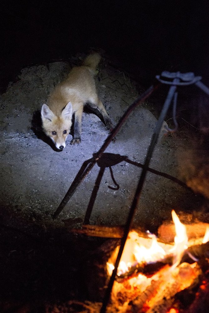 Сквозь страх