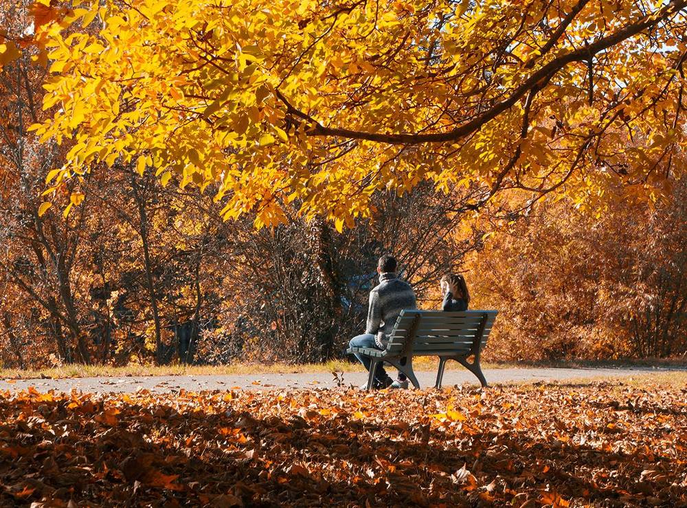 В парке на скамье