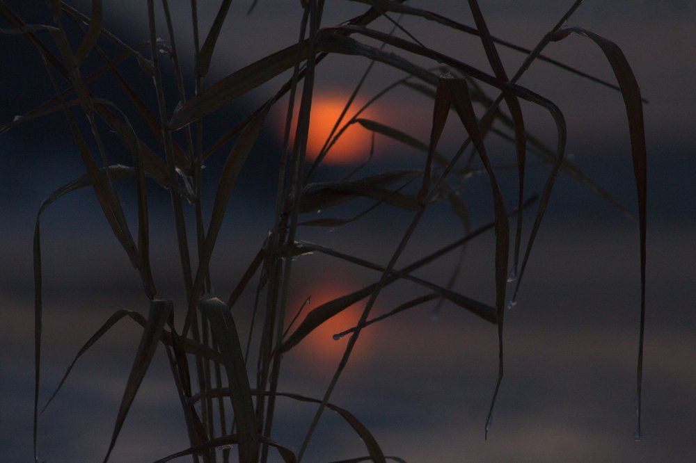 уходящий день