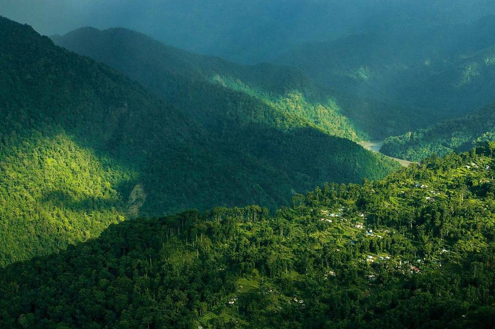 Greenary at its best