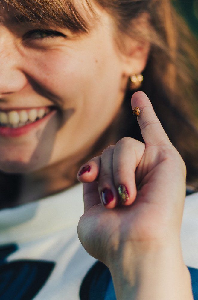 Божья коровка