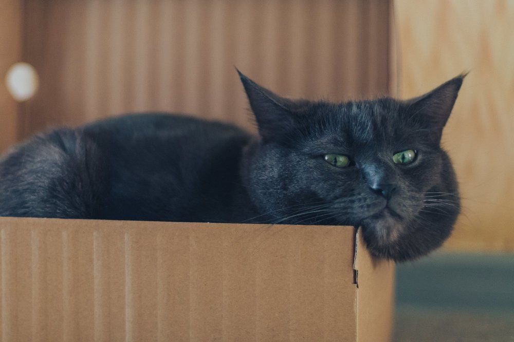 Ноябрь в коробке