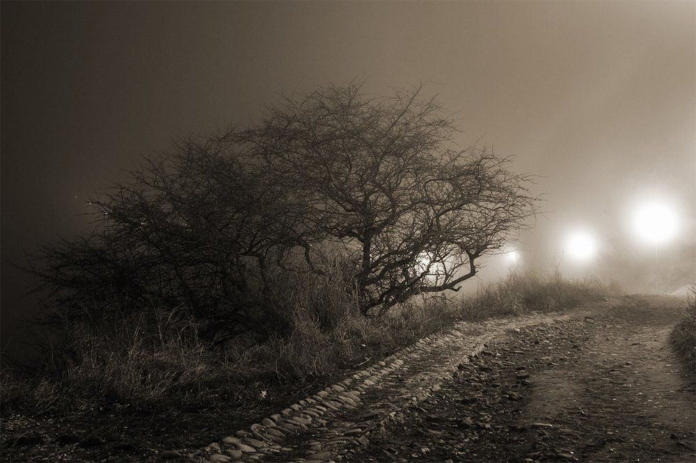 Туманной ночью