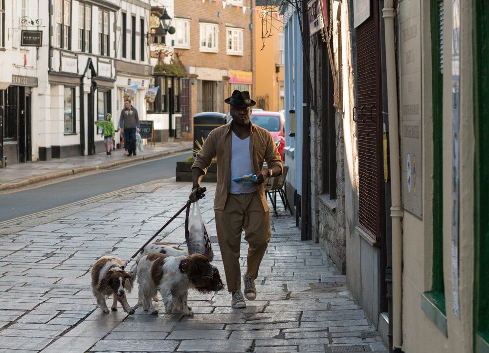 Выгуливание собак