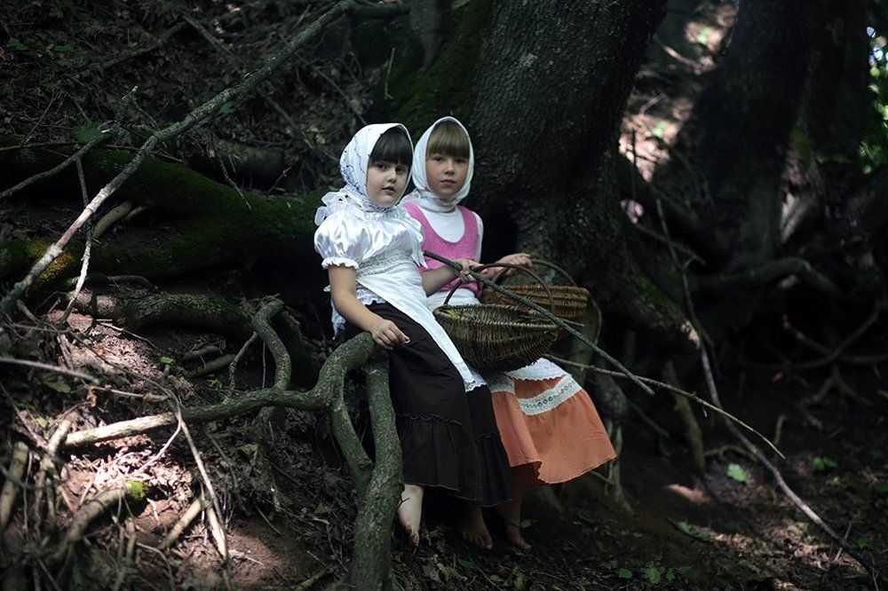 Грибная история