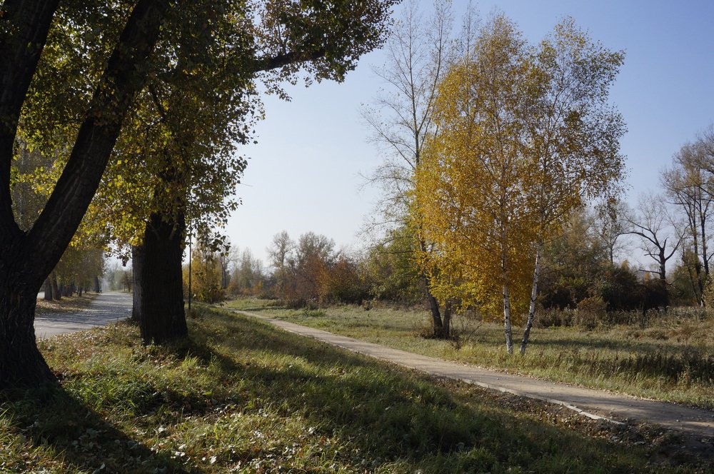 Осень