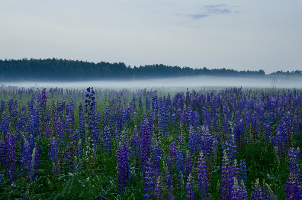 Photograph by Александр