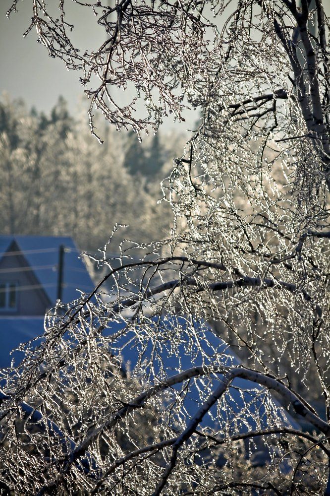 хрустальное утро ноября...