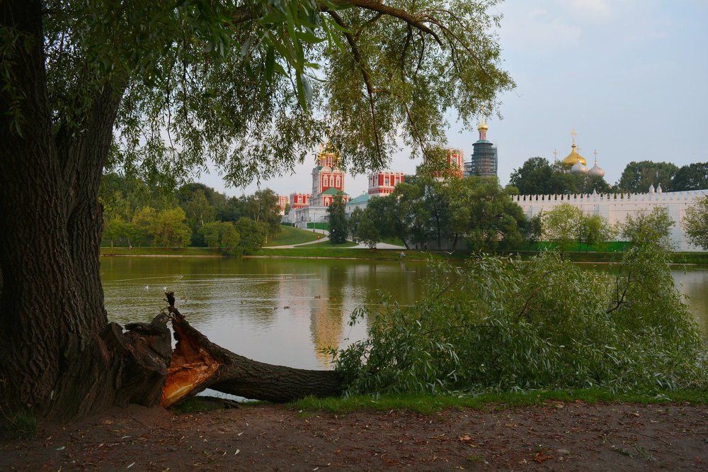 Летний вечер у Новодевичьего