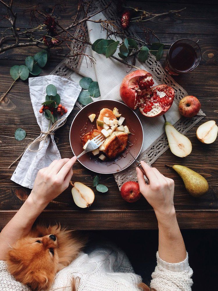 Завтрак маленького Попрошайки