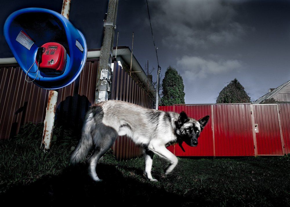 Photograph by Yurii Ryazanov