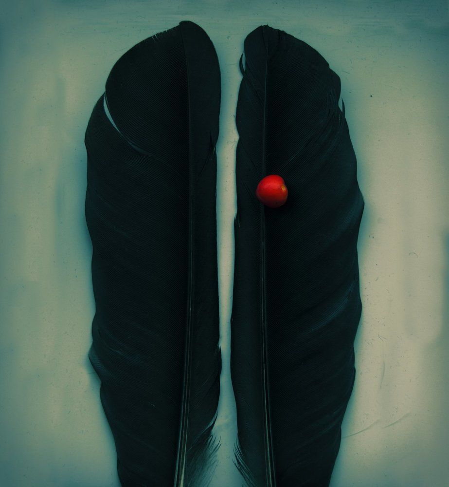 Photograph by Anastasia Ellerman